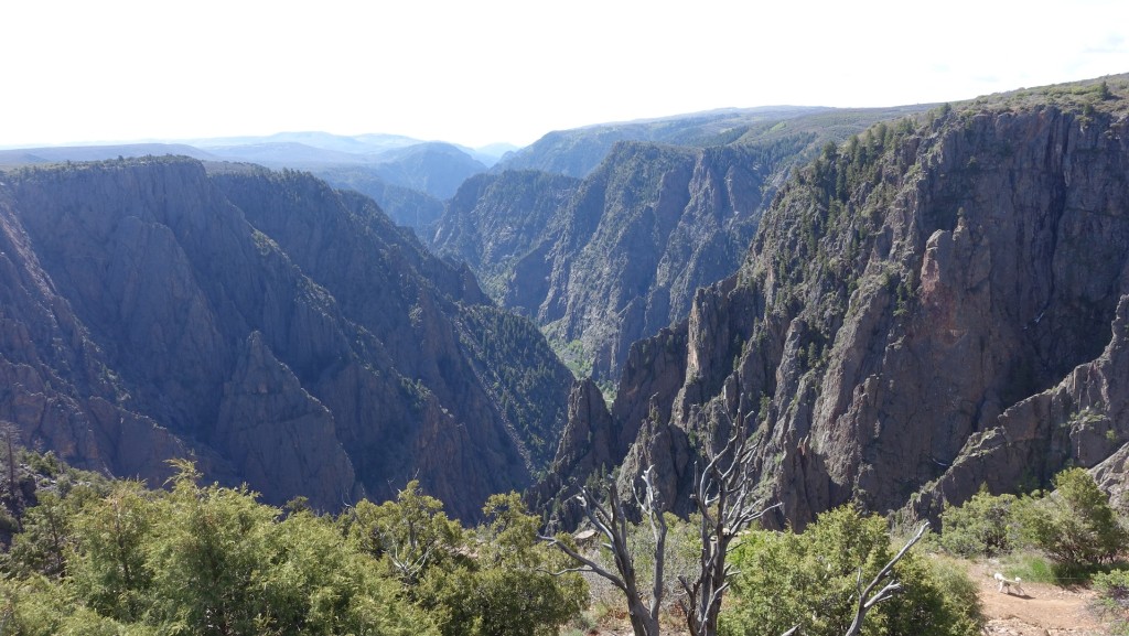 A nice view of the canyon, showing the relative narrowness vs the depth
