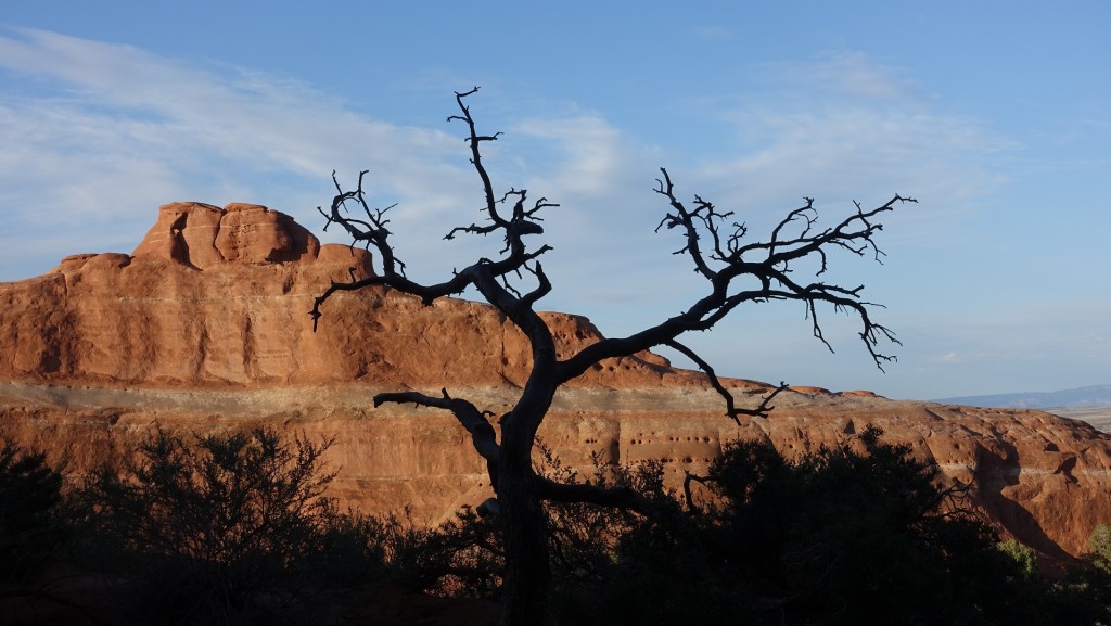 DSC01444 Arches NP 105b