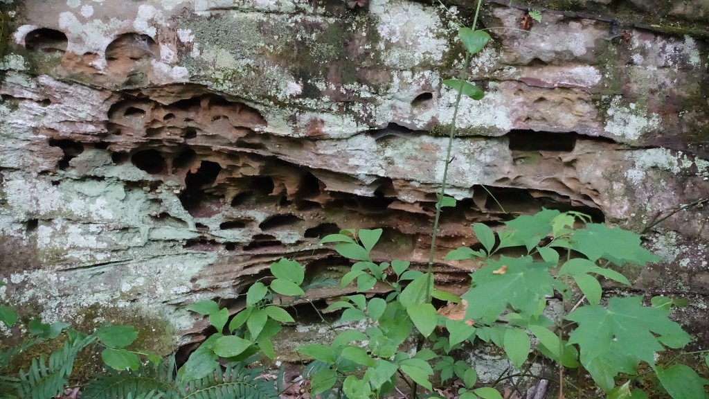 There were a number of interesting rock features like this one on my hike