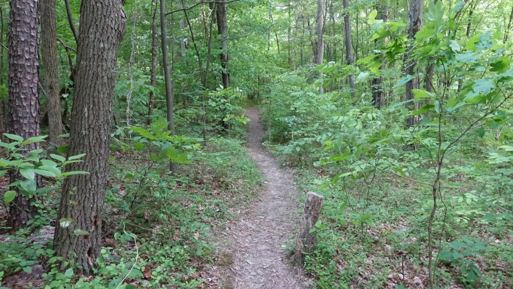 berea ky 54b
