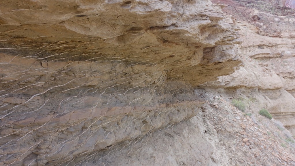 DSC01875b