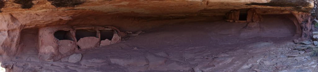 DSC01981b