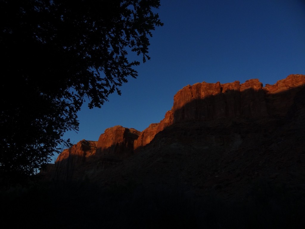 DSC05434b