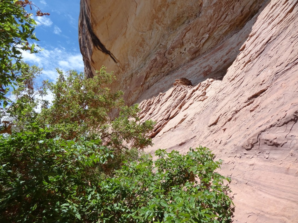 DSC05579 - ruinb
