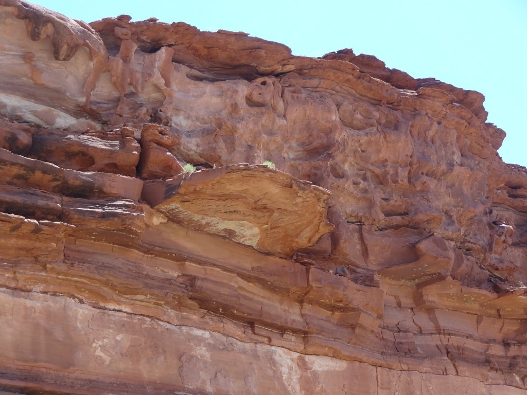 DSC05603b