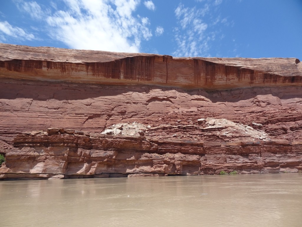 DSC05605b