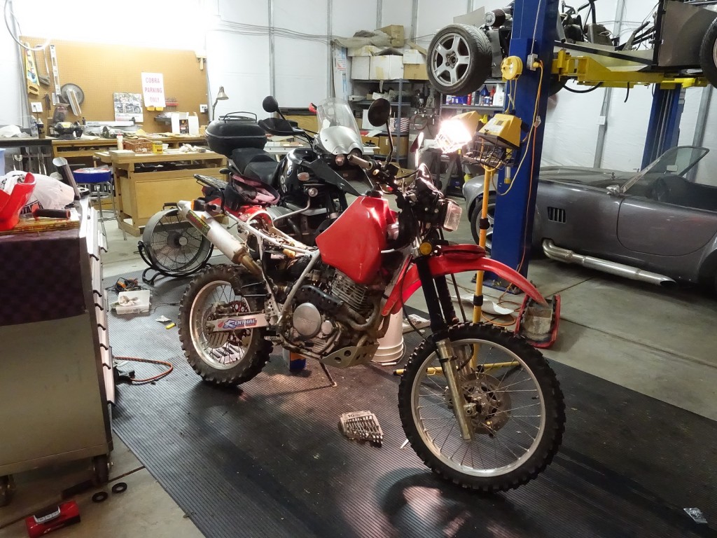 DSC02074 - Bike Workb