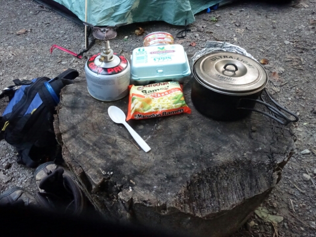 DSC02197.JPG image